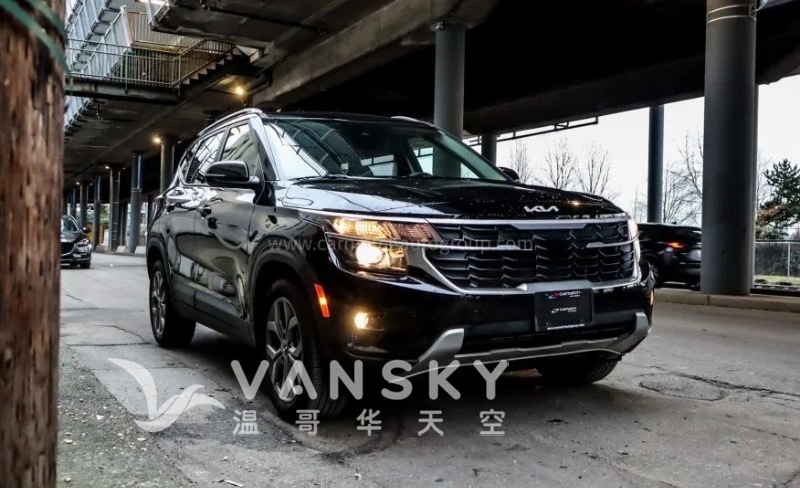 260128104845_图像 9.jpg